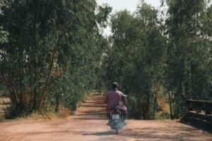 A man rides a scooter down a tree-lined dirt road, capturing a serene rural journey.
