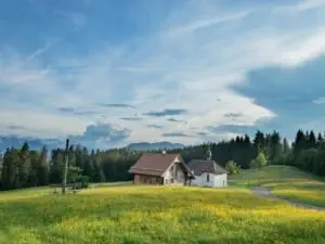 Charming Swiss countryside scene featuring a farmhouse and chapel amidst lush green fields and forests.